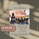 닥터데이빗 | 미래를 말하다 - 도테라 아로마터치 테크닉 창시자 닥터힐 박사님 강연후기/2월 15% 할인/ 1회 무료 체험권
