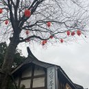 중국 청두 콴자이샹즈 Kuanzhai Alley 청두 가볼 만한 곳