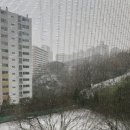 서울 눈오네요 바람도 마구불고 이미지