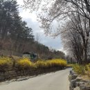 운암지주차장 이미지