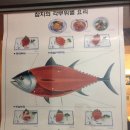 오대양참치 이미지