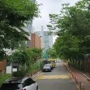 늘푸른노인복지관 앞 횡단보도 | 장애인 활동 지원사 양성교육 후기