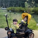 신세계유치원 | 애매하게 걷기 힘든 유치원 등하원 꿀템, 디트로네 유아 전동차 사용후기 🏎️💨