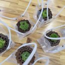 청성초교 병설유치원 이미지