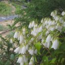 오도재거북쉼터민박 이미지