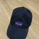 파타고니아/로고 모자/free 이미지