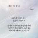 구정물 | 박예주 시인 신간 『구정물은 사랑의 흔적』