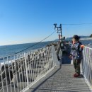 대한민국 구석구석...부산 청사포구...송정 해수욕장...해동 용궁사...큰마님 시리즈... 이미지