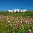 꽃다운 이미지