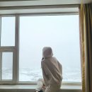 하이원 그랜드호텔 메인타워 사우나 이미지