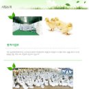 덕은축산 네이버블로그