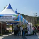 금메달체육관 이미지