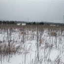 상창농장 이미지