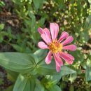 186:중랑천 이미지