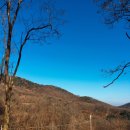 뮤즈캠핑장 이미지