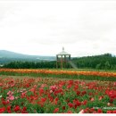 바다랜드 이미지