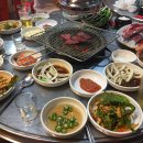 초원한우 티스토리
