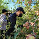 수원-1382 이미지