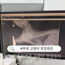 부천종합동물병원 이미지