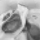 온리동물병원 이미지