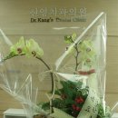 신영치과의원 이미지