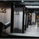 트리플피트니스 이미지