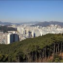 하양초등학교 이미지