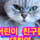 모여봐요 고양이 카페 이미지