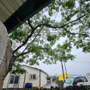 동화숲민박 이미지