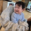 강산개발 - 정읍시 학산로 89-11 | 9개월 강산이의 성장일기 (26.5/1~5/31)