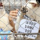 순이 이미지