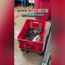 아산락실내바다낚시터 이미지