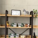 르네상스 카페 이미지