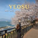 여수해상케이블카 주식회사 | 여수 해상케이블카 예약 할인 오동도 자산 돌산 탑승장 벚꽃명소