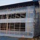 희둘영목장 이미지