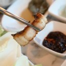 숲속장어 이미지