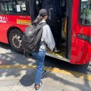 우암태권도장 | 5월 셋째 주