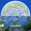 A플러스공인중개사사무소 이미지