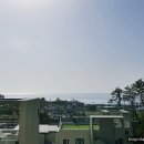 마리벨317 A 이미지