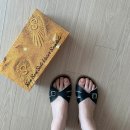 디자인쏠트 이미지