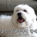 솔이농장 이미지