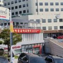 춘천성심약국 네이버블로그