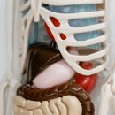 선진메디칼 | 의공학과는 뭐하는 곳인가요?