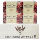 라이스데이