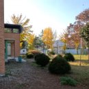 속초초 좌운분교장 이미지