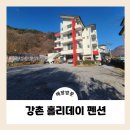 강촌홀리데이 | 아이와 함께 강원도 여행 숙소 강촌 홀리데이 펜션 후기