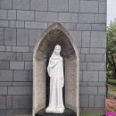 수원교구 중앙성당 이미지