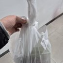 호박마트 | 딸기를 향한 여정, 회사에서 B마트로 과일 배달시켜 먹은 후기 (창억떡 호박인절미 꼽사리)