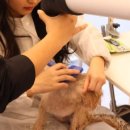 멍클스튜디오 이미지