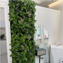 우진케어 | 천안 신부동 발각질 케어 추천하는 곳 오네또 문제성발전문점